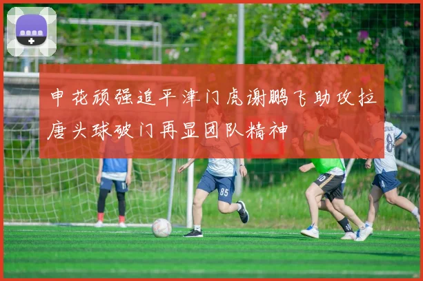 申花顽强追平津门虎谢鹏飞助攻拉唐头球破门再显团队精神